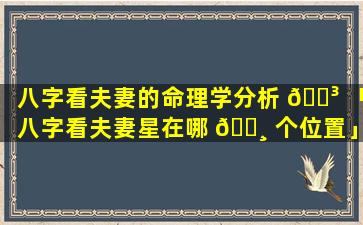 八字看夫妻的命理学分析 🌳 「八字看夫妻星在哪 🌸 个位置」